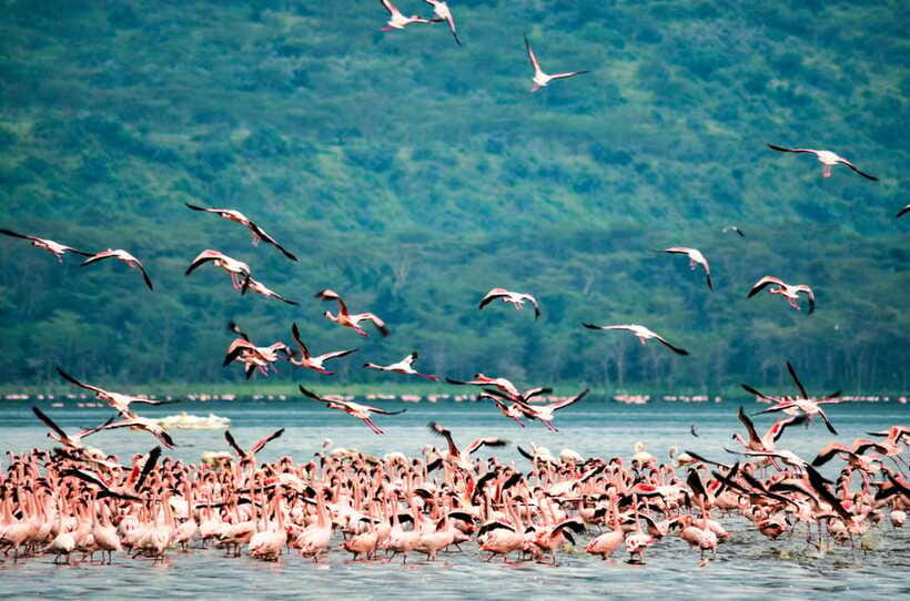 Sri Lanka 5-Day Private Country Side Tour Car, Hotels, Food - Day 5: Galle Fort Walking Tour and Bentota River Wildlife