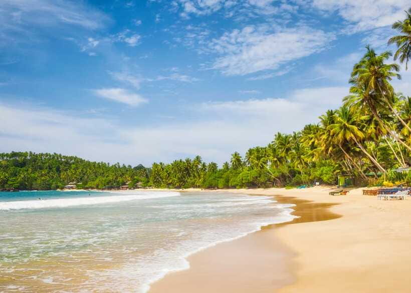 Sri Lanka 5-Day Private Country Side Tour Car, Hotels, Food - The Guide Factor: Why Fawmy’s professionalism stands out