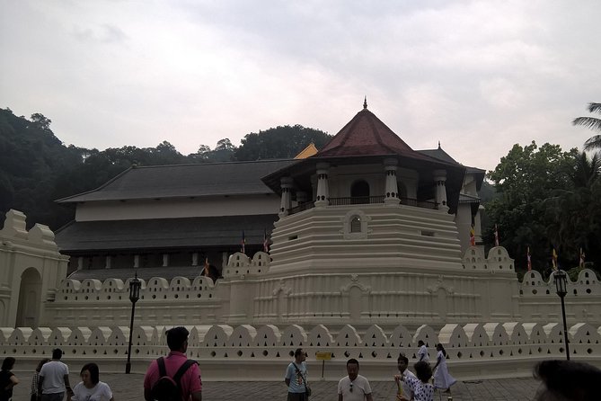 Sri Lanka 5 Day Privet Tour - Day 1: Sigiriya’s fortress views and Dambulla’s cave temples
