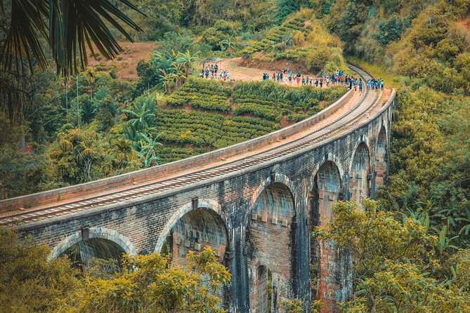 Sri Lanka 5 Day tour Best Nature and Culture include top hotels - Sigiriya sunset hike and an Habarana cultural night