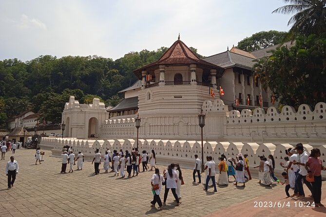 Sri Lanka 8 days Tours with Privet Vehicle & Accommodations (B/B) - Price and what’s really included in the $599 figure