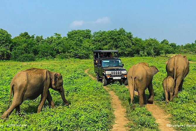 Sri Lanka 8 days Tours with Privet Vehicle & Accommodations (B/B) - Day 4: Ella by train and the Nine Arches Bridge