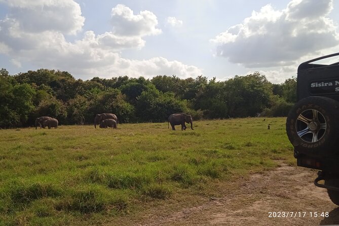 Sri Lanka 8 days Tours with Privet Vehicle & Accommodations (B/B) - Day 6: Mirissa beach time, Kalamatiya bird sanctuary, and Coconut Tree Hill