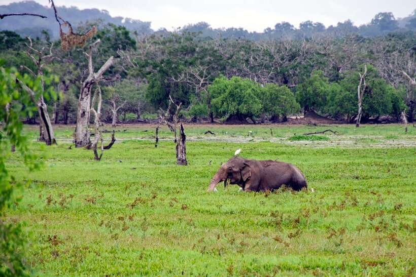 Sri Lanka Green Bless- 2-day Private Trip To Enjoy Nature - Galle Fort and Coastal Stops: Beaches by Day, History on Foot
