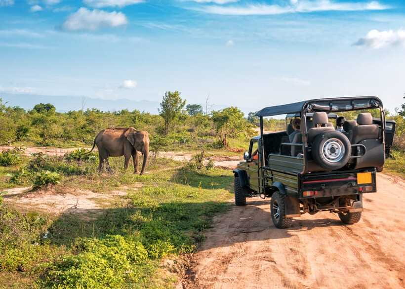 Sri Lanka Green Bless- 2-day Private Trip To Enjoy Nature - Guide and Driving: The Human Difference on Safari