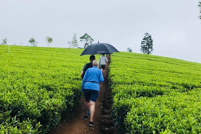 Sri Lanka highlights in 6 days - Hotels, meals, and the admissions reality check