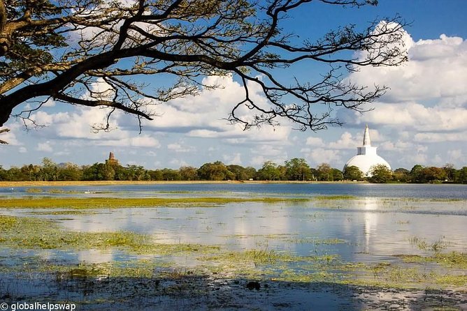 Sri Lanka Multi Day Car Hire with English Speaking Driver-Guide - Airport meet-and-greet: getting on the road without the scramble