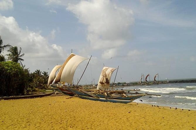 Sri Lanka Nature, Culture and Wild tour - Yala National Park safari and a BBQ after dark: the animals night