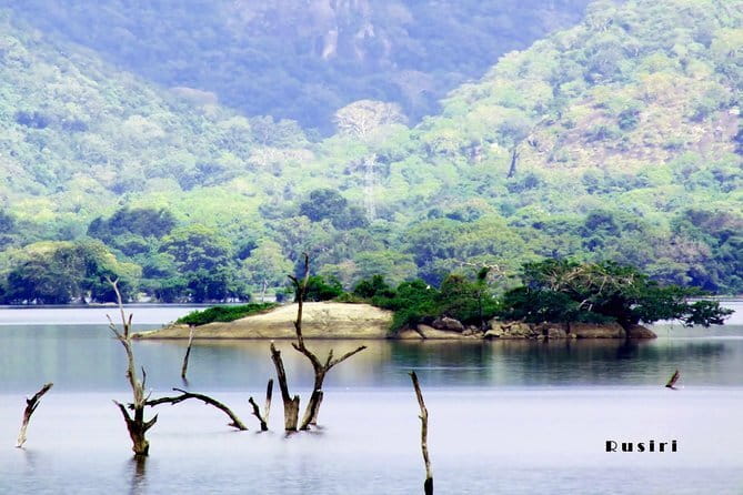 Sri Lanka Nature, Culture and Wild tour - Kandy and the Temple of the Tooth: spice garden mornings and hill-city evenings