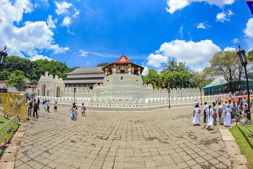 Sri Lanka Nature, culture, history and wildlife in 4 days - The Reality of Guides, Groups, and That Selling Pressure
