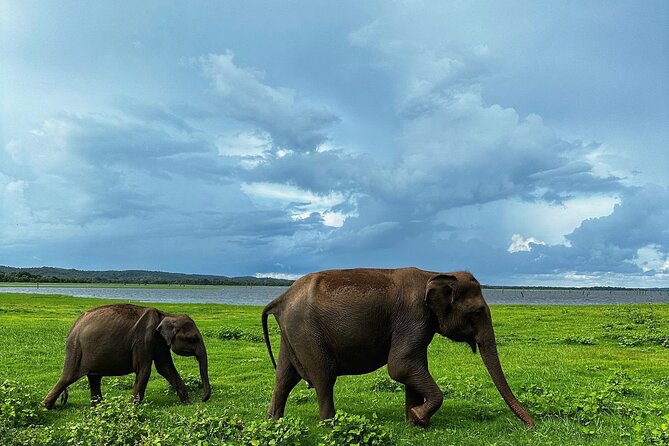 Sri Lanka Personal Tour Driver in private vehicle - Price and value: $325 per group and what it covers