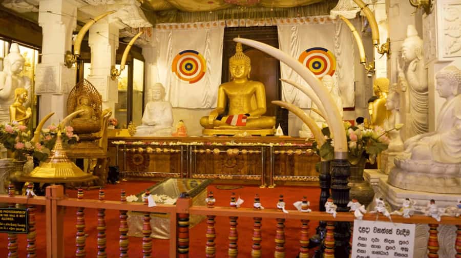 Sri Lanka Private 2-day Tour:Train Trip, Kandy, Nuwara Eliya - Quick Hits: What You’ll Remember Most