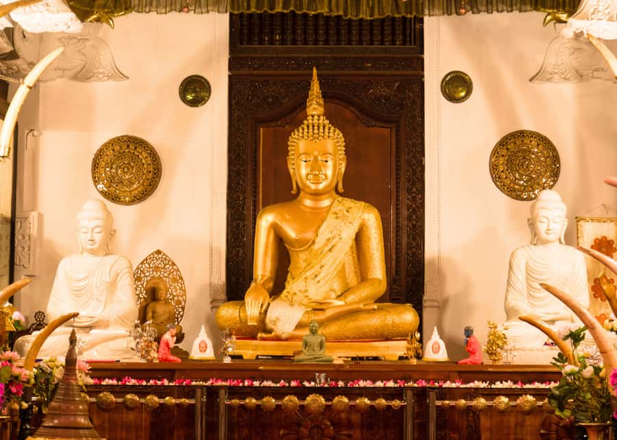 Sri Lanka Private 2-day Tour:Train Trip, Kandy, Nuwara Eliya - Who Should Book This Private 2-Day Tour