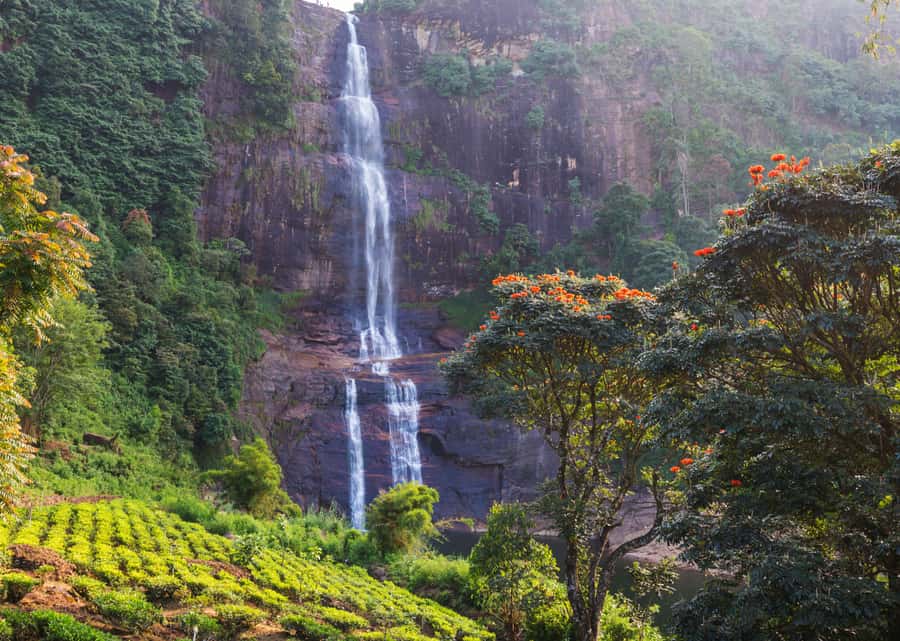 Sri Lanka Private 2-day Tour:Train Trip, Kandy, Nuwara Eliya - Why the Hill Country Blue Train Is the Star Ticket