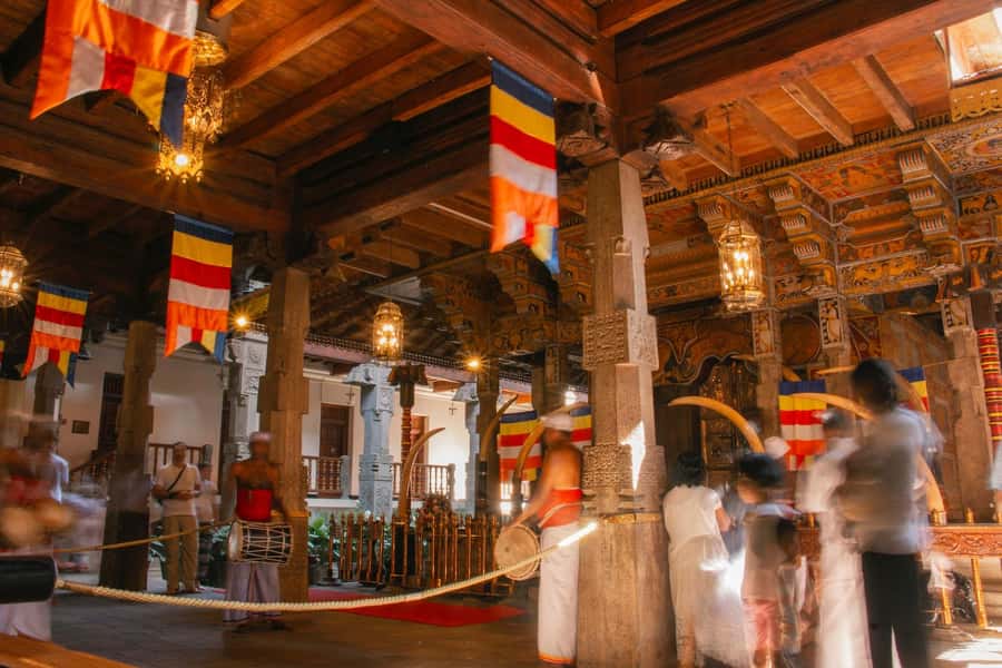 Sri Lanka Private 2-day Tour:Train Trip, Kandy, Nuwara Eliya - Tea Factory Day and Timing: How to avoid a half-finished feeling