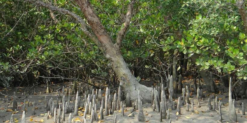 Sri Lanka Private Galle Tour: stilt fisherman, Galle Fort... - Should you book this private Galle tour?