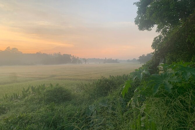 Sri Lanka - Private Ratnapura Gem Tour with Gem and jewelry Expert - Key highlights at a glance