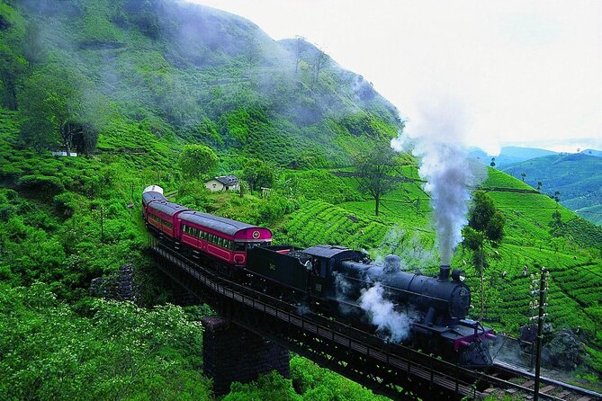 Sri Lanka; Professional Chauffeur Guide With Modern Vehicles - English-Speaking Drivers Who Make the Day Easier