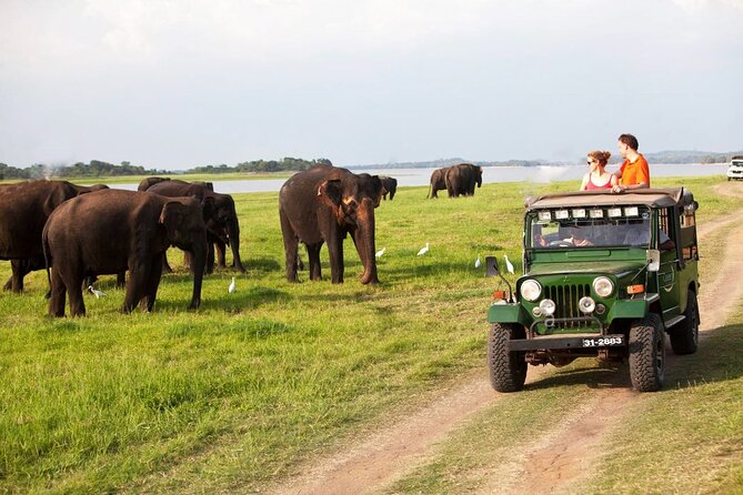 Sri Lanka; Professional Chauffeur Guide With Modern Vehicles - Rain, Road Conditions, and the Real Benefit of a Flexible Guide