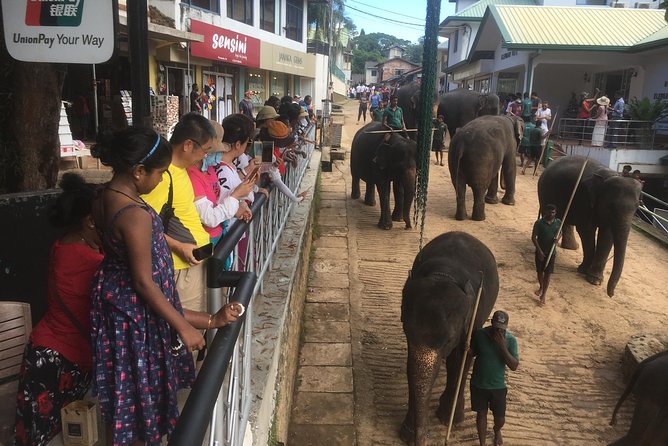 Sri Lanka round tour - Why Sigiriya Is the Best Use of a Short Morning