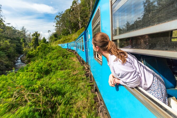 Sri Lanka tour 8 Days with a private driver, hotels, and vehicle - Key highlights you should lock onto