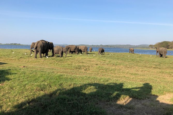 Sri Lanka Tour in 8 Days - Price and value: what $539 really covers