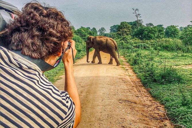 Sri Lanka tour itinerary . 6N/7D with driver, vehicle and H/B accommodations - Day 2 Polonnaruwa Ruins: The Stone City Stop That Makes the Week Click