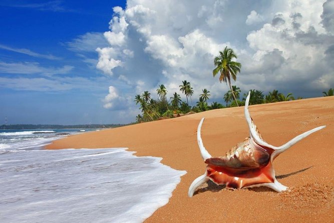 Sri Lanka tour itinerary . 6N/7D with driver, vehicle and H/B accommodations - Day 6 Udawalawe National Park: The Wildlife Day (Safari Cost Extra)