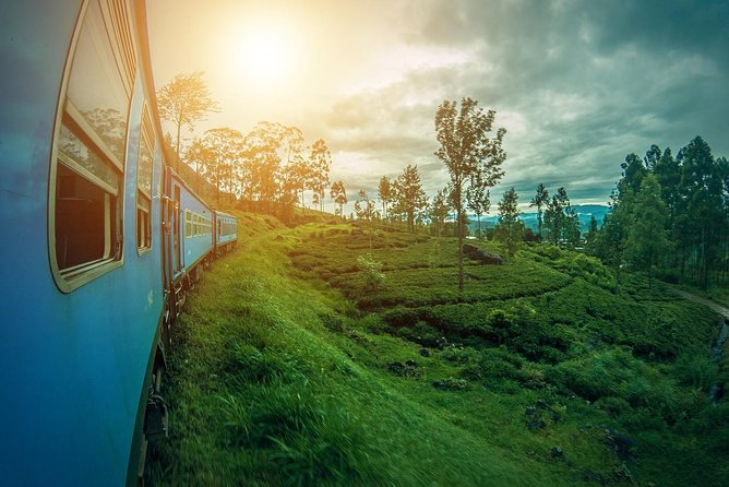 Sri Lanka Tour Package in 05 Nights 06 Days - From Negombo Beach to a Traditional Herbal Garden and Fire Walking