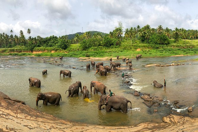Sri Lanka Tour Package in 05 Nights 06 Days - Price Value: What $592 Covers (and What You’ll Need to Budget Extra)