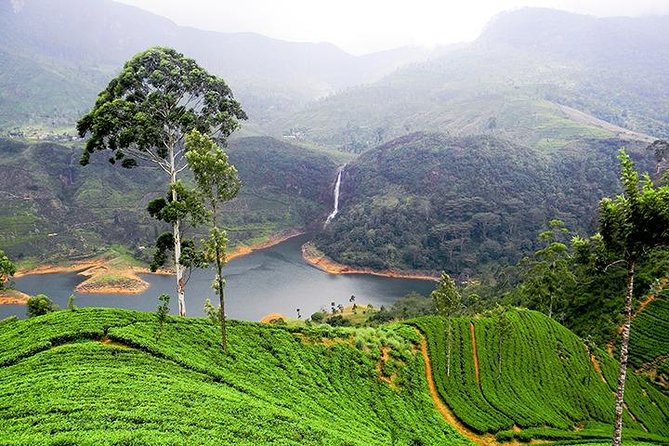 Sri Lanka Tour Packages with English Speaking Driver Guide and Car - Negombo welcome: a beach-town start with low stress