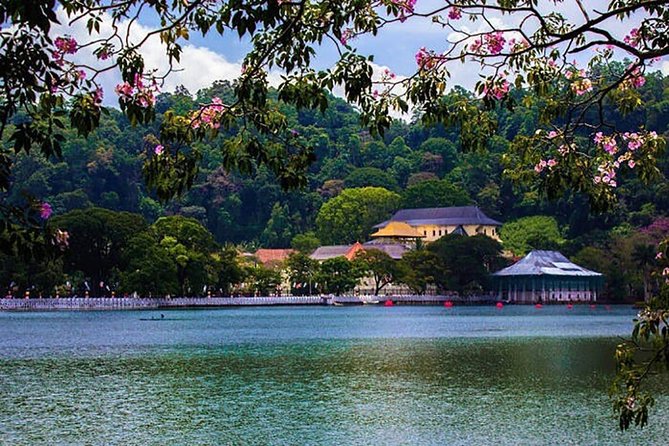 Sri Lanka Tour Packages with English Speaking Driver Guide and Car - Dambulla’s Golden Temple, Kandy’s Tooth Relic, and the Kandyan night show