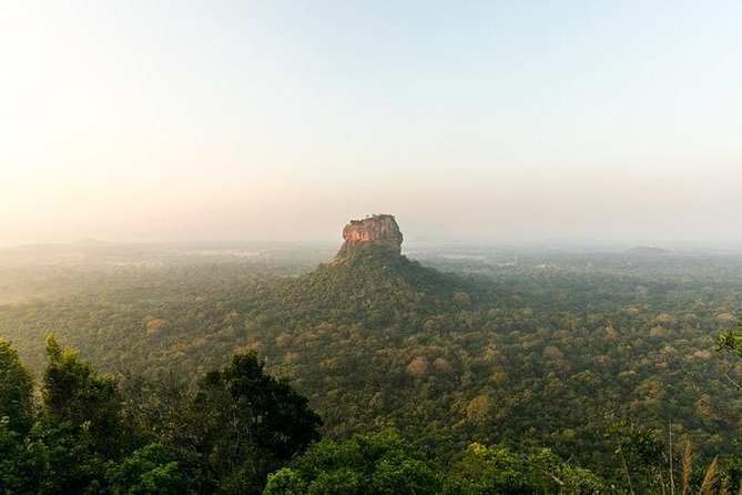 Sri Lanka Tour Packages with English Speaking Driver Guide and Car - Yala National Park safari: leopards, elephants, crocodiles, and more