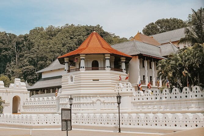 Sri Lanka Tour Plan - 14 Days - Private Transport And Hotel - Pidurangala and Minneriya: views that feel like a choice, not a compromise