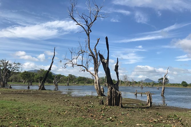 Sri Lanka tours 12-Day wildlife Tour with driver,Car or Van and accommodations - Tissamaharama and Yala: Your Best Wildlife Stretch (With Realistic Safari Costs)