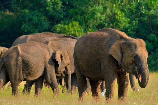 Sri Lanka Unveiled: 12 Nights Complete Experience Package - Key highlights to know before you go