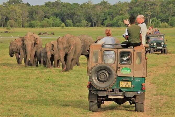 Tailor-made Multi-day Private Tour Packages in Sri Lanka - Day 5: The Nanu Oya to Ella train day and Ella viewpoints