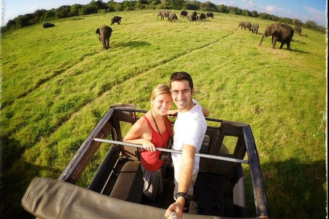 Ten Days Scenic Sri Lanka - How the private chauffeur setup makes the days easier