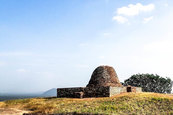 Three Ancient Kingdoms Tour | from Colombo - Group size, private feel, and why the guide makes a difference
