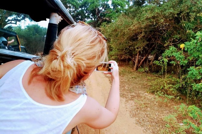 Tour Packages in Sri Lanka - Most Popular Round Tour - All in One Tour - Day 5: Kandy viewpoints, Peradeniya gardens, and the tea-country changeover