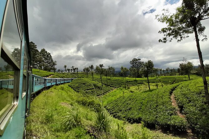 Train from Colombo to Kandy - Key Things to Know Before You Go