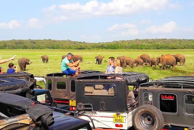 trip sri lanka (10 Days , 9 Nights) with driver, vehicle and H/B accommodations - Mirissa Whale Watching: Morning’s Best Shot at Real Magic