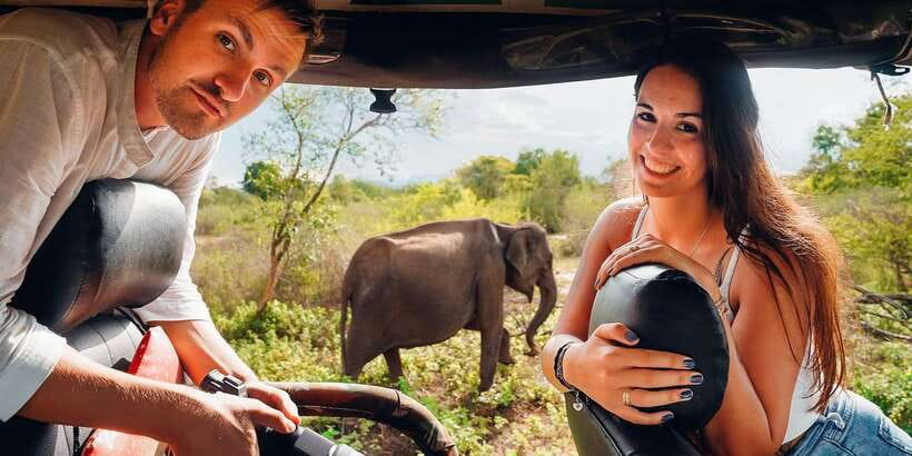 Udawalawa National Park: All-Inclusive Private Day Tour - Private transfers: the comfort you actually feel on safari day