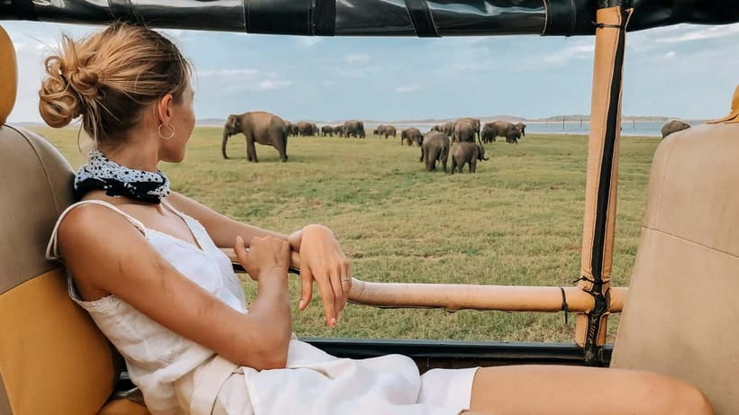 UDAWALAWA SAFARI TOUR from HAMBANTOTA PORT (Shore Excursion) - Price and logistics: is $51 really a deal