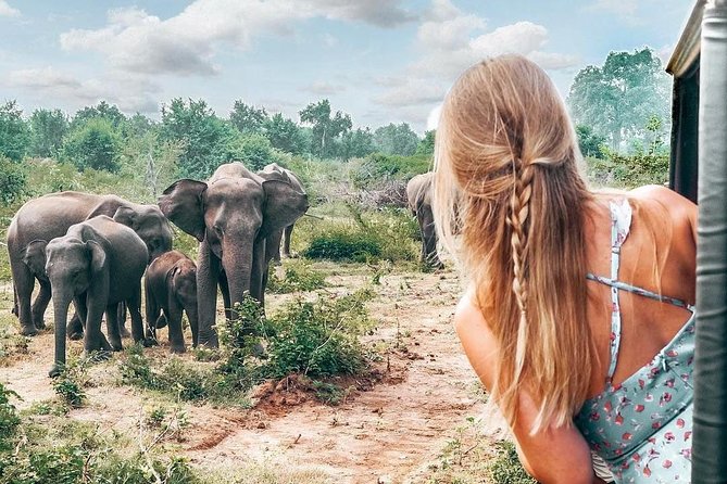 Udawalawe National Park Private Safari - Your English-speaking chauffeur guide: the difference between seeing and understanding