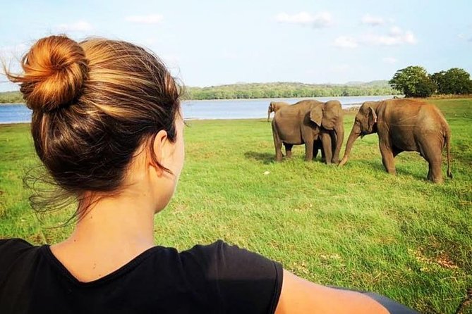 Udawalawe National Park Safari With Transfers From Colombo - Elephant Transit Home (ETH): The Stop That Gives Context