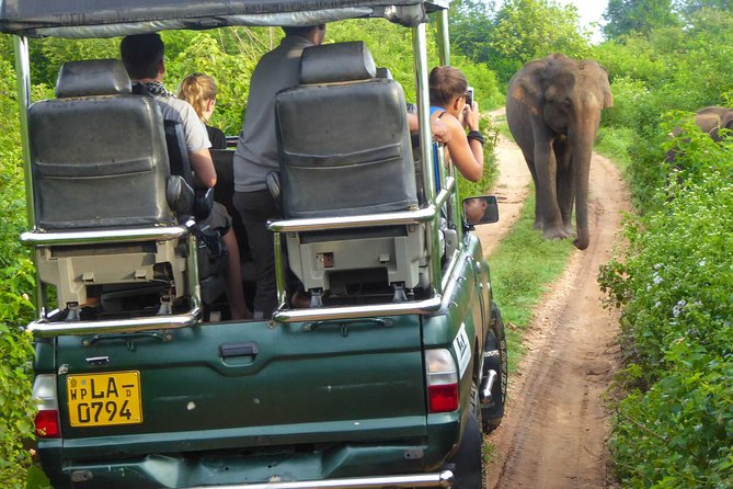 Udawalawe Safari Day Trip from South Region & Transfer to Ella - Price and value: does $180 make sense