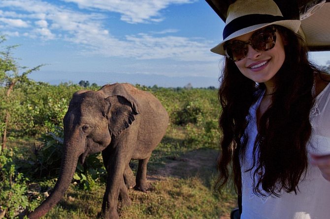 Udawalawe Safari Day Trip from South Region & Transfer to Ella - Should you book this Udawalawe safari day trip?