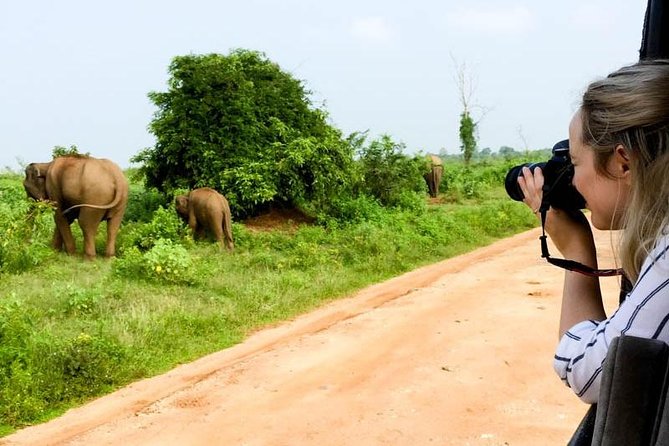 Udawalawe Safari Day Trip from South Region & Transfer to Ella - FAQ