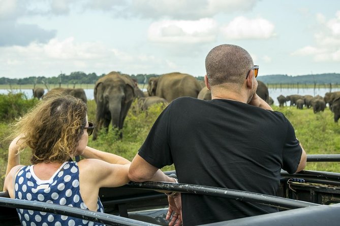 Udawalawe Safari Day Trip from South Region & Transfer to Ella - Elephant Transit Home (ETH): the stop that adds meaning